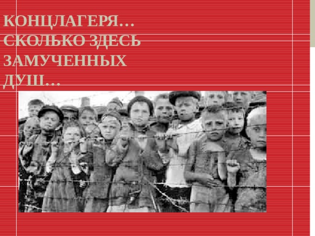 Концлагеря… Сколько здесь замученных душ… 