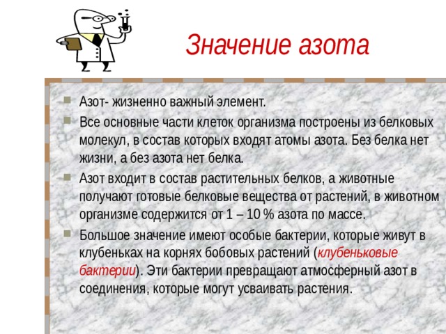 Значение азота Азот- жизненно важный элемент. Все основные части клеток организма построены из белковых молекул, в состав которых входят атомы азота. Без белка нет жизни, а без азота нет белка. Азот входит в состав растительных белков, а животные получают готовые белковые вещества от растений, в животном организме содержится от 1 – 10 % азота по массе. Большое значение имеют особые бактерии, которые живут в клубеньках на корнях бобовых растений ( клубеньковые бактерии ). Эти бактерии превращают атмосферный азот в соединения, которые могут усваивать растения. 