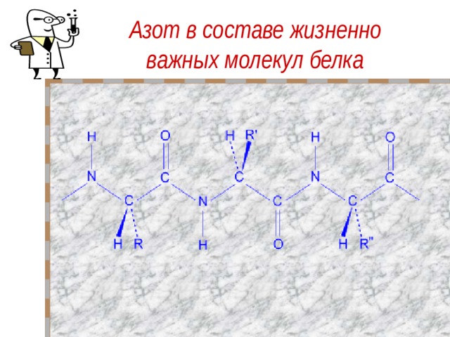 Азот в составе жизненно важных молекул белка 