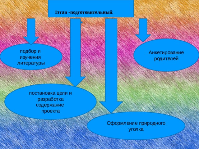 1этап -подготовительный : Анкетирование родителей подбор и изучения литературы постановка цели и разработка содержание проекта Оформление природного уголка 