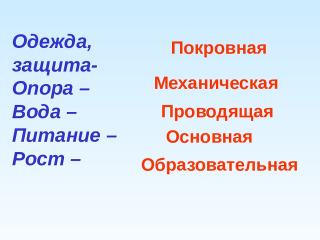 Одежда, защита- Опора – Вода – Питание – Рост – Покровная Механическая Проводящая Основная Образовательная 