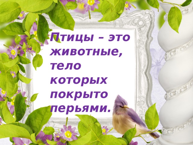 Птицы – это животные, тело которых покрыто перьями. 