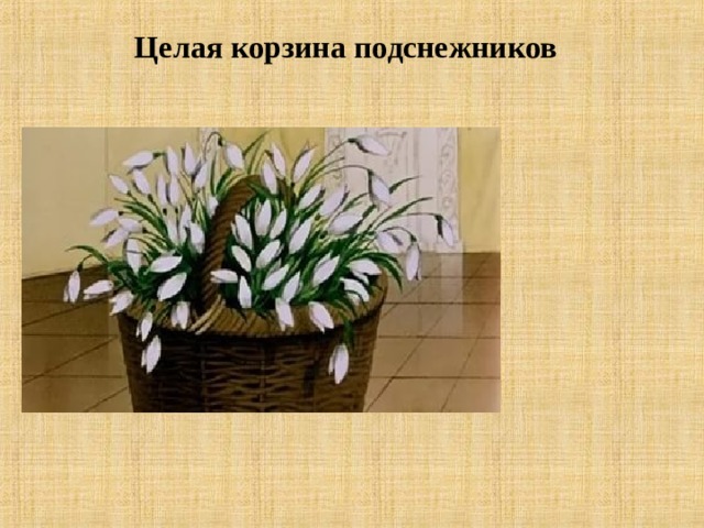 Целая корзина подснежников     