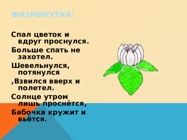 ФИЗМИНУТКА: Спал цветок и вдруг проснулся. Больше спать не захотел. Шевельнулся, потянулся ,Взвился вверх и полетел. Солнце утром лишь проснётся, Бабочка кружит и вьётся . 