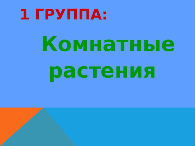 1 ГРУППА:  Комнатные  растения 