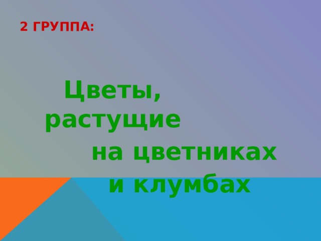 2 ГРУППА:  Цветы, растущие  на цветниках  и клумбах 
