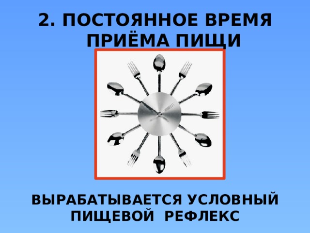 2. ПОСТОЯННОЕ ВРЕМЯ ПРИЁМА ПИЩИ ВЫРАБАТЫВАЕТСЯ УСЛОВНЫЙ ПИЩЕВОЙ РЕФЛЕКС  