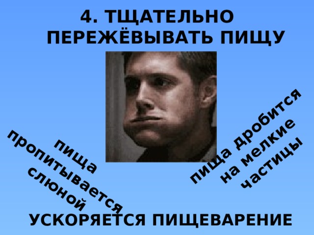 пища пропитывается пища дробится слюной на мелкие частицы 4. ТЩАТЕЛЬНО ПЕРЕЖЁВЫВАТЬ ПИЩУ УСКОРЯЕТСЯ ПИЩЕВАРЕНИЕ  