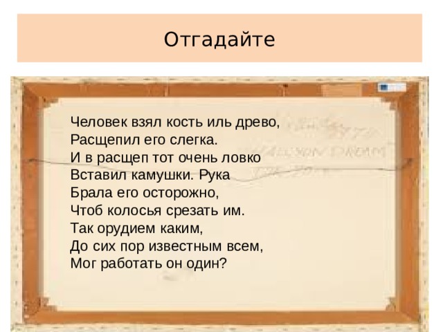 Человек взял кость иль древо, Расщепил его слегка. И в расщеп тот очень ловко Вставил камушки. Рука Брала его осторожно, Чтоб колосья срезать им. Так орудием каким, До сих пор известным всем, Мог работать он один?    Отгадайте 