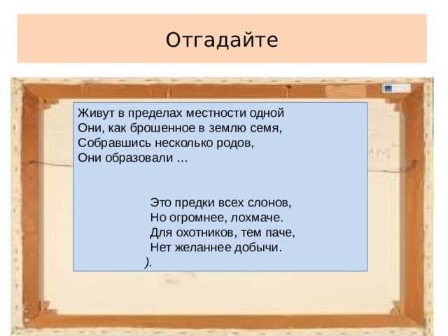 Живут в пределах местности одной Они, как брошенное в землю семя, Собравшись несколько родов, Они образовали …   Это предки всех слонов,  Но огромнее, лохмаче.  Для охотников, тем паче,  Нет желаннее добычи.    ). Отгадайте 