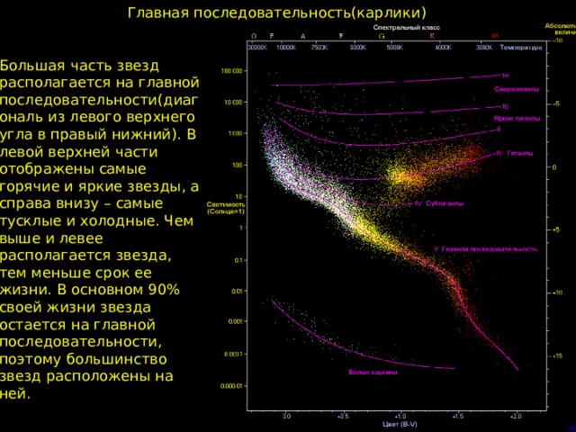 Главная последовательность(карлики) Большая часть звезд располагается на главной последовательности(диагональ из левого верхнего угла в правый нижний). В левой верхней части отображены самые горячие и яркие звезды, а справа внизу – самые тусклые и холодные. Чем выше и левее располагается звезда, тем меньше срок ее жизни. В основном 90% своей жизни звезда остается на главной последовательности, поэтому большинство звезд расположены на ней. 