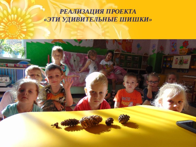   РЕАЛИЗАЦИЯ ПРОЕКТА  «ЭТИ УДИВИТЕЛЬНЫЕ ШИШКИ»   