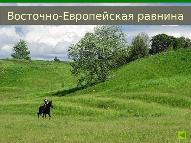 Восточно-Европейская равнина 