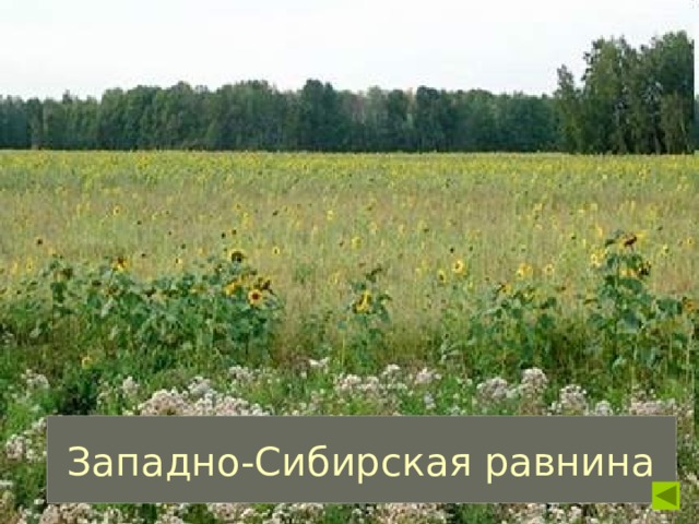 Западно-Сибирская равнина 