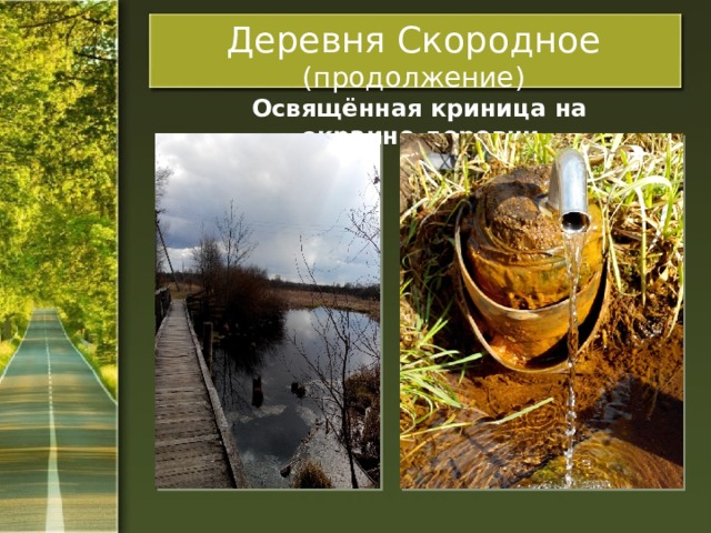 Деревня Скородное (продолжение)  Освящённая криница на окраине деревни 