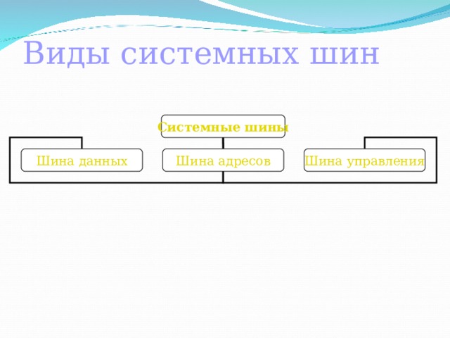 Виды системных шин Системные шины Шина данных Шина адресов Шина управления 