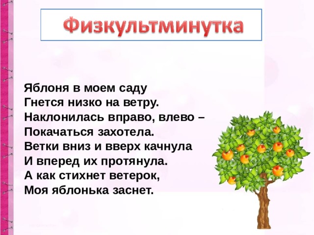 Яблоня в моем саду  Гнется низко на ветру.  Наклонилась вправо, влево –  Покачаться захотела.  Ветки вниз и вверх качнула  И вперед их протянула.  А как стихнет ветерок,  Моя яблонька заснет. 