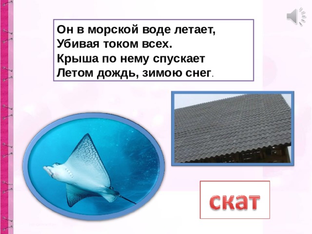 Он в морской воде летает,  Убивая током всех.  Крыша по нему спускает  Летом дождь, зимою снег . 
