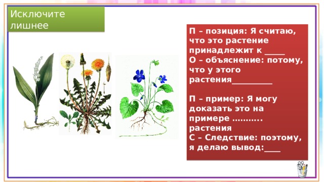 Исключите лишнее П – позиция: Я считаю, что это растение принадлежит к _____ О – объяснение: потому, что у этого растения__________   П – пример: Я могу доказать это на примере ……….. растения С – Следствие: поэтому, я делаю вывод:____ 
