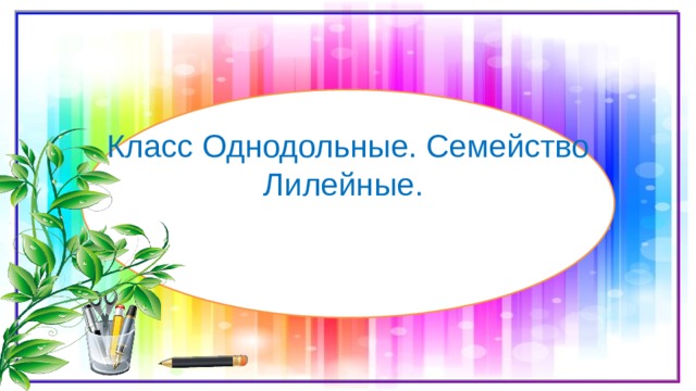 Класс Однодольные. Семейство Лилейные. 