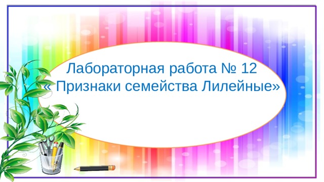 Лабораторная работа № 12  « Признаки семейства Лилейные» 
