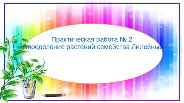 Практическая работа № 2  « Определение растений семейства Лилейные» 