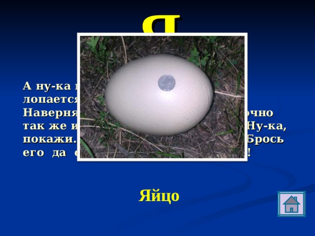 Я А ну-ка покажи мне …, которое не лопается, - сказала старая утка. - Наверняка это индюшечье. Вот точно так же и меня однажды провели. Ну-ка, покажи. Так и есть! Индюшечье! Брось его да ступай, учи деток плавать! Яйцо 