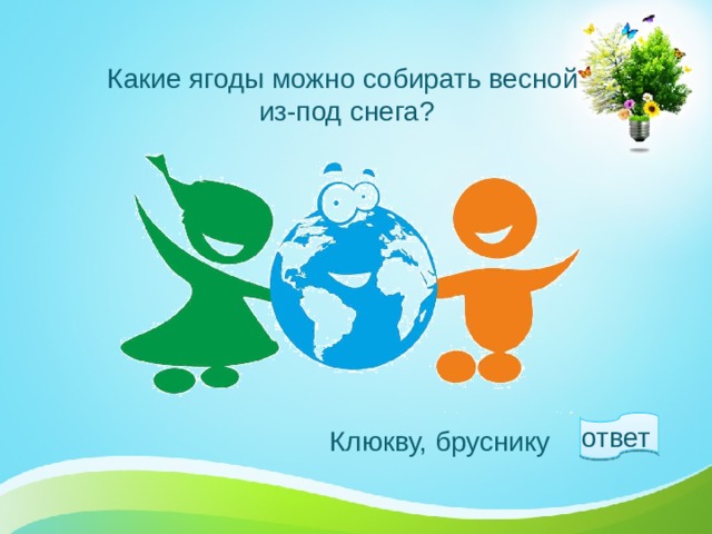 Какие ягоды можно собирать весной  из-под снега? ответ  Клюкву, бруснику 1 