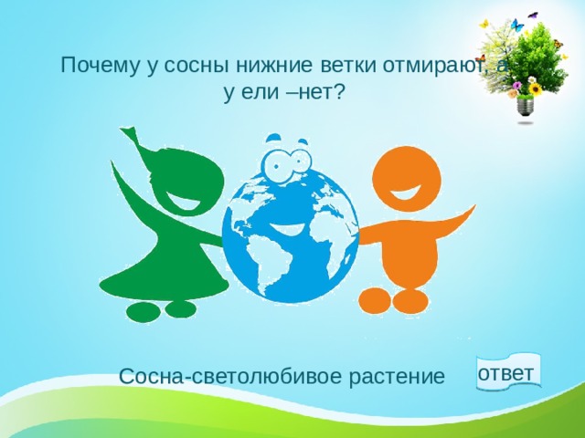 Почему у сосны нижние ветки отмирают, а у ели –нет? ответ  Сосна-светолюбивое растение 1 