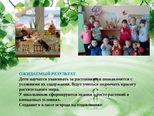         ОЖИДАЕМЫЙ РЕЗУЛЬТАТ Дети научатся ухаживать за растениями и познакомятся с условиями их содержания, будут учиться подмечать красоту растительного мира. У школьников сформируются знания о росте растений в комнатных условиях. Создание в классе огорода на подоконнике. 