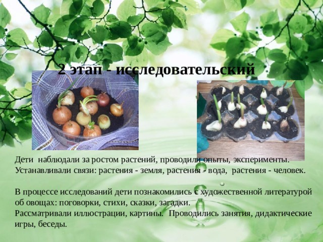  2 этап - исследовательский Дети наблюдали за ростом растений, проводили опыты, эксперименты. Устанавливали связи: растения - земля, растения - вода, растения - человек.       В процессе исследований дети познакомились с художественной литературой об овощах: поговорки, стихи, сказки, загадки. Рассматривали иллюстрации, картины. Проводились занятия, дидактические игры, беседы. 