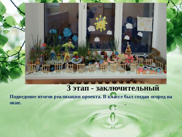     3 этап - заключительный       Подведение итогов реализации проекта. В классе был создан огород на окне. 