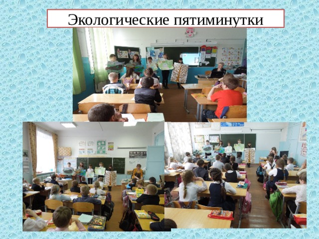 Экологические пятиминутки 