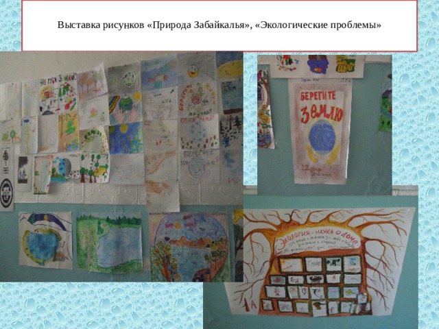  Выставка рисунков «Природа Забайкалья», «Экологические проблемы»   