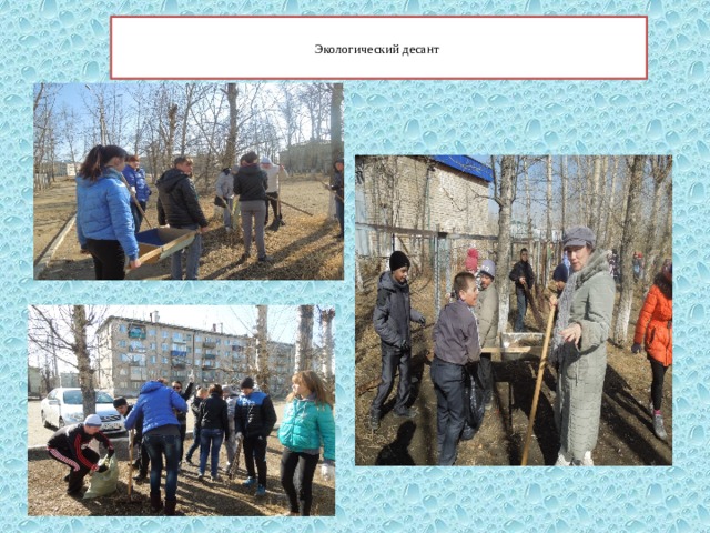  Экологический десант   