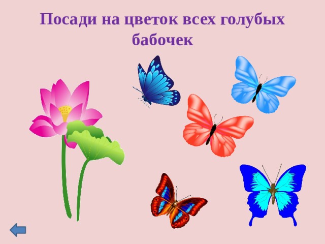 Посади на цветок всех голубых бабочек 