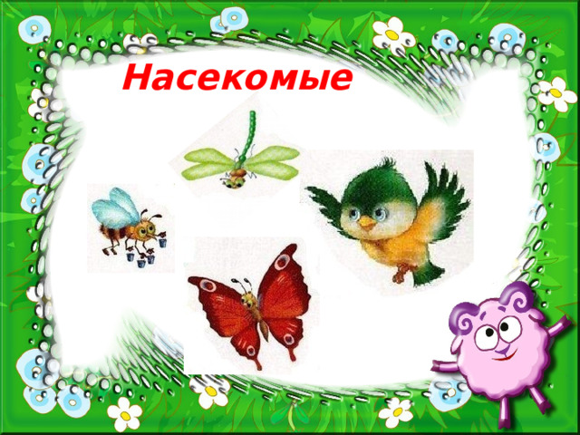 Насекомые 