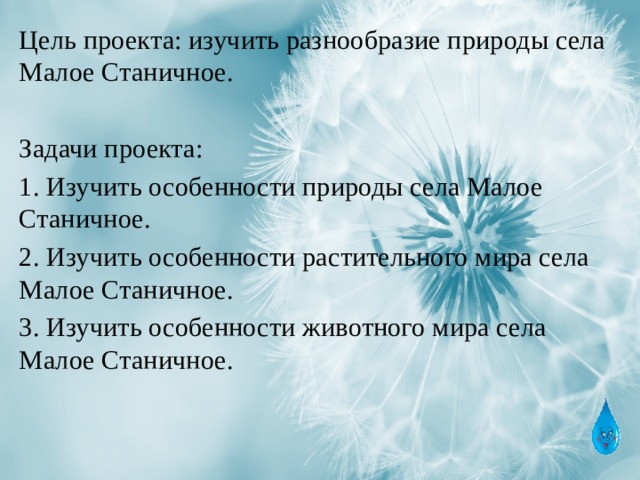 Цель проекта: изучить разнообразие природы села Малое Станичное. Задачи проекта: 1. Изучить особенности природы села Малое Станичное. 2. Изучить особенности растительного мира села Малое Станичное. 3. Изучить особенности животного мира села Малое Станичное. 