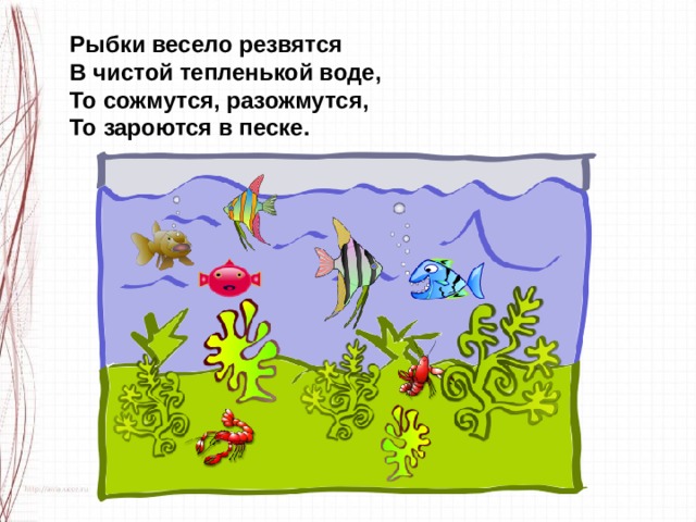 Рыбки весело резвятся В чистой тепленькой воде, То сожмутся, разожмутся, То зароются в песке. 