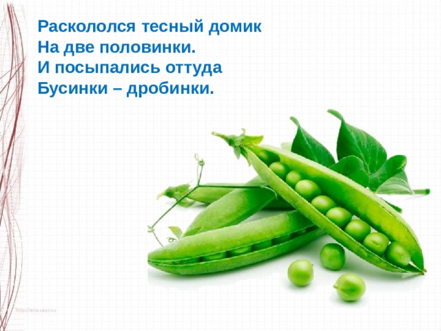 Раскололся тесный домик На две половинки. И посыпались оттуда Бусинки – дробинки. 