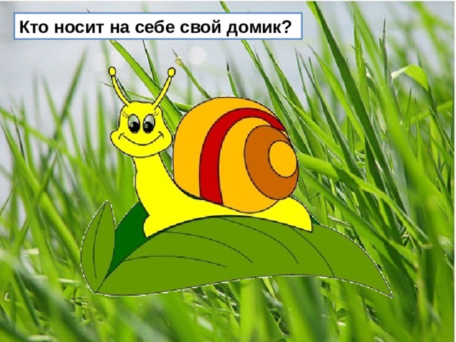 Кто носит на себе свой домик?  