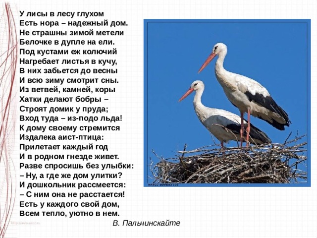 У лисы в лесу глухом Есть нора – надежный дом. Не страшны зимой метели Белочке в дупле на ели. Под кустами еж колючий Нагребает листья в кучу, В них забьется до весны И всю зиму смотрит сны. Из ветвей, камней, коры Хатки делают бобры – Строят домик у пруда; Вход туда – из-подо льда! К дому своему стремится Издалека аист-птица: Прилетает каждый год И в родном гнезде живет. Разве спросишь без улыбки: – Ну, а где же дом улитки? И дошкольник рассмеется: – С ним она не расстается! Есть у каждого свой дом, Всем тепло, уютно в нем.                                            В. Пальчинскайте 