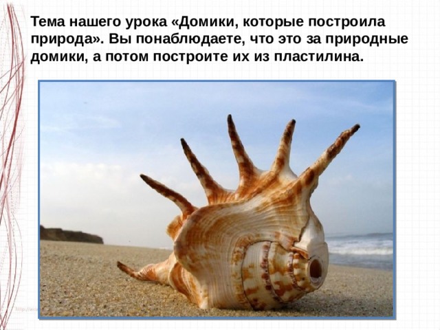 Тема нашего урока «Домики, которые построила природа». Вы понаблюдаете, что это за природные домики, а потом построите их из пластилина. 