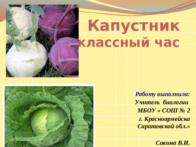Капустник  классный час Работу выполнила: Учитель биологии МБОУ « СОШ № 2  г. Красноармейска Саратовской обл.»  Савина В.И. 