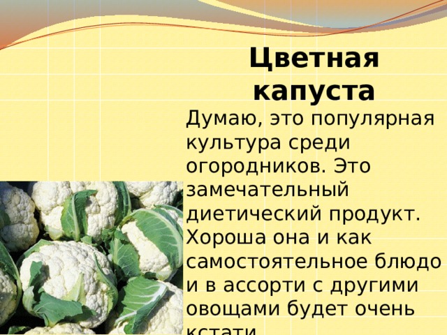 Цветная капуста Думаю, это популярная культура среди огородников. Это замечательный диетический продукт. Хороша она и как самостоятельное блюдо и в ассорти с другими овощами будет очень кстати. 