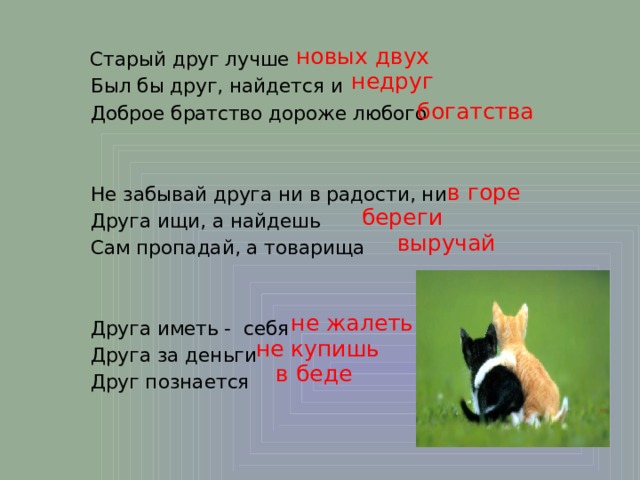 новых двух  Старый друг лучше  Был бы друг, найдется и  Доброе братство дороже любого    Не забывай друга ни в радости, ни  Друга ищи, а найдешь  Сам пропадай, а товарища    Друга иметь - себя  Друга за деньги  Друг познается   недруг богатства в горе береги выручай не жалеть не купишь в беде 