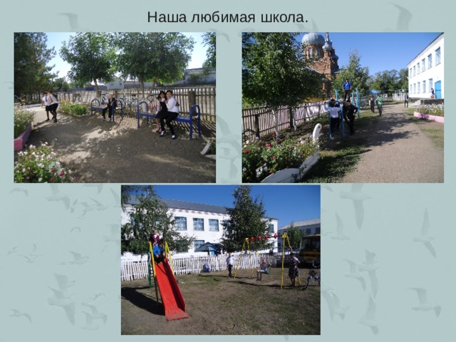Наша любимая школа. 