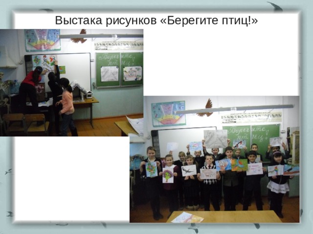 Выстака рисунков «Берегите птиц!» 