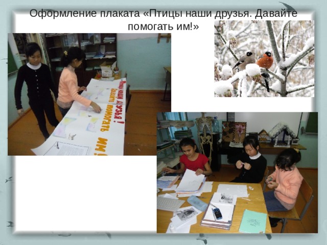Оформление плаката «Птицы наши друзья. Давайте помогать им!» 