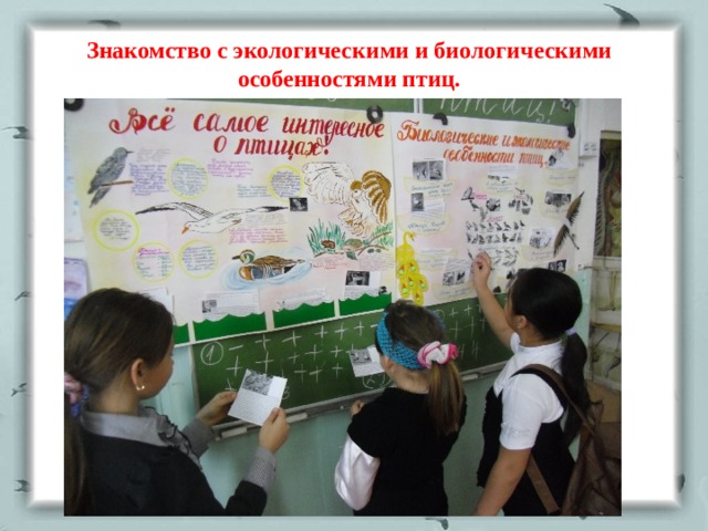 Знакомство с экологическими и биологическими особенностями птиц. 